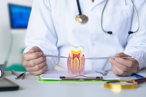 Best Dentist for Tooth Abscess  in Red Oak, TX